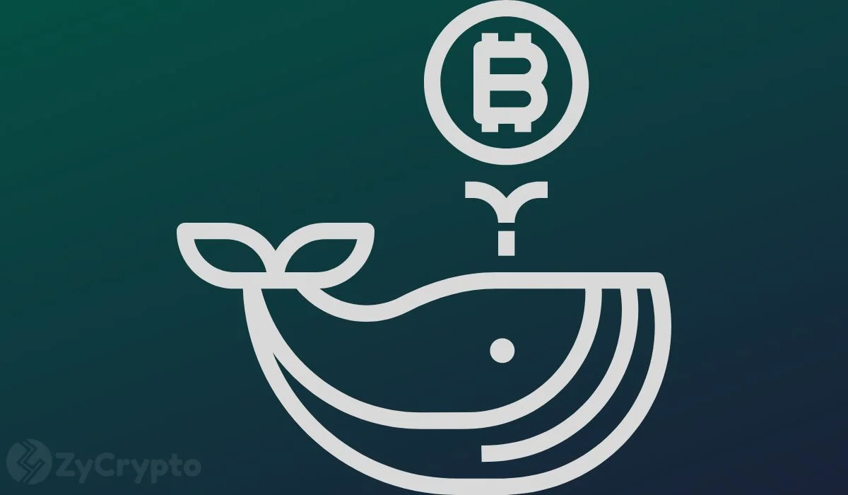 Long-Dormant Bitcoin Wallet Sparks Interest After $1.7 Million Transaction