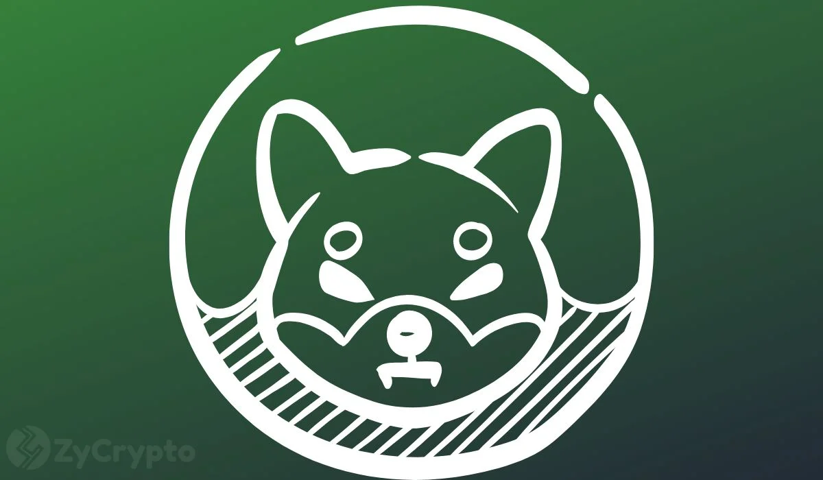 Shiba Inu Surges in Q3 with Significant Accumulation and Enhanced Market Optimism