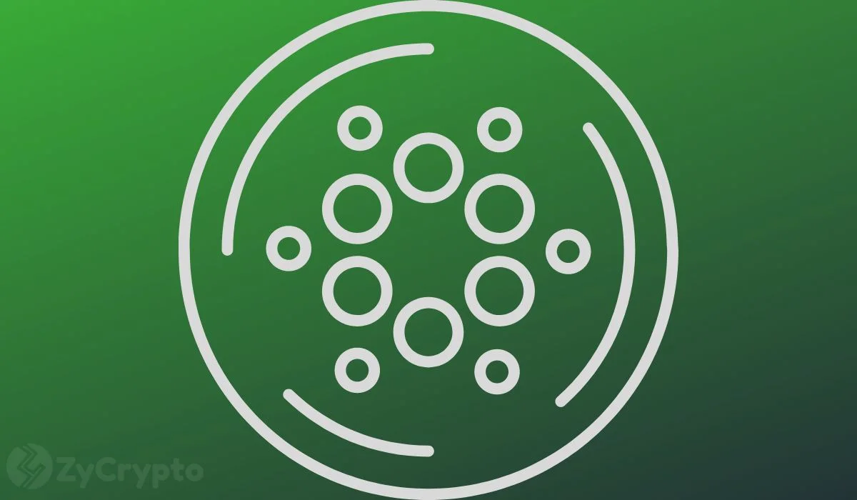 Cardano's Price Dynamics Signal Possible Major Upsurge Amid Increased On-Chain Activity