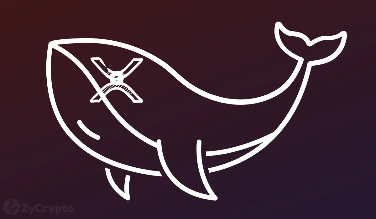 XRP Whale Inflows Surge to Highest Level in Seven Months on Binance