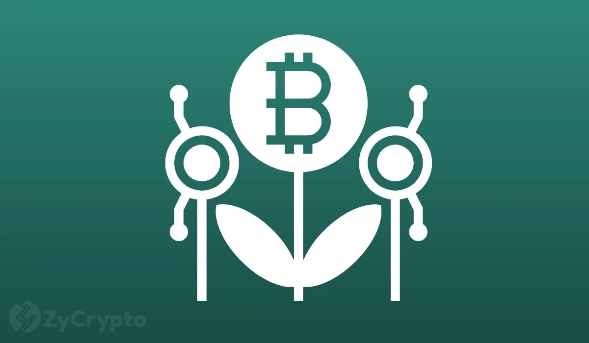American Entrepreneur Shares How He Missed Out On Making $25 Million From A $100K Bitcoin Investment