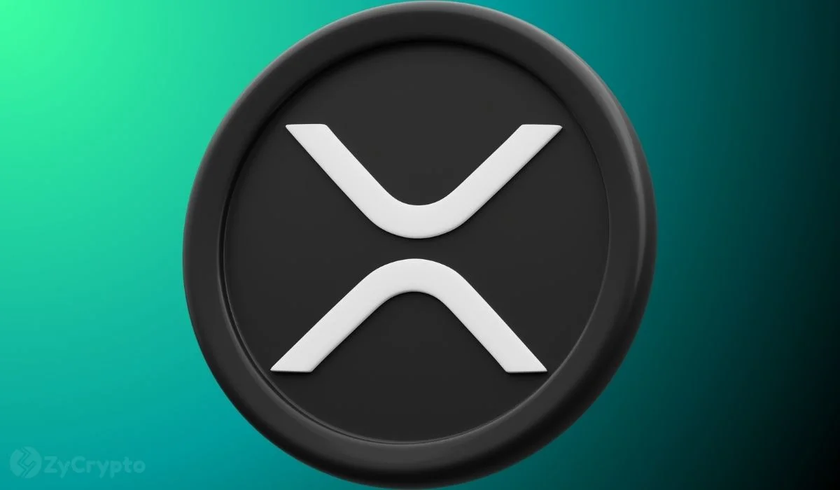 XRP Whales Now Hold 68.5% of Supply in Highest Share Since 2022 — Is a Massive Rebound Quietly Brewing?